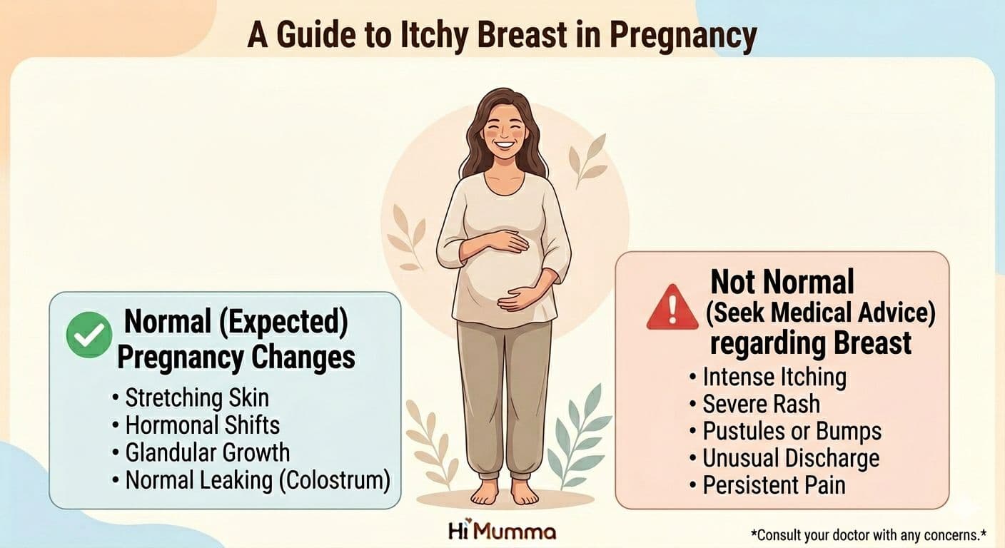 itchy breast during pregnancy and breast itchy during pregnancy symptom explanation