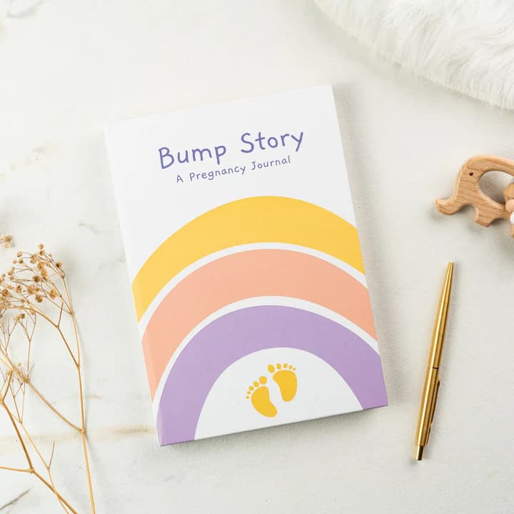 Pregnancy Journey Journal